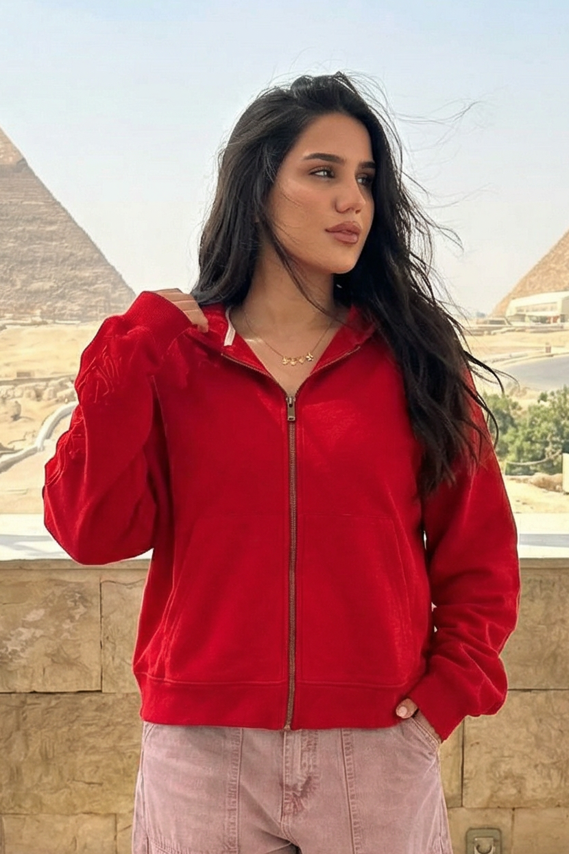 embroidered sweatshirt